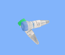 Taq-D DNA Polymerase